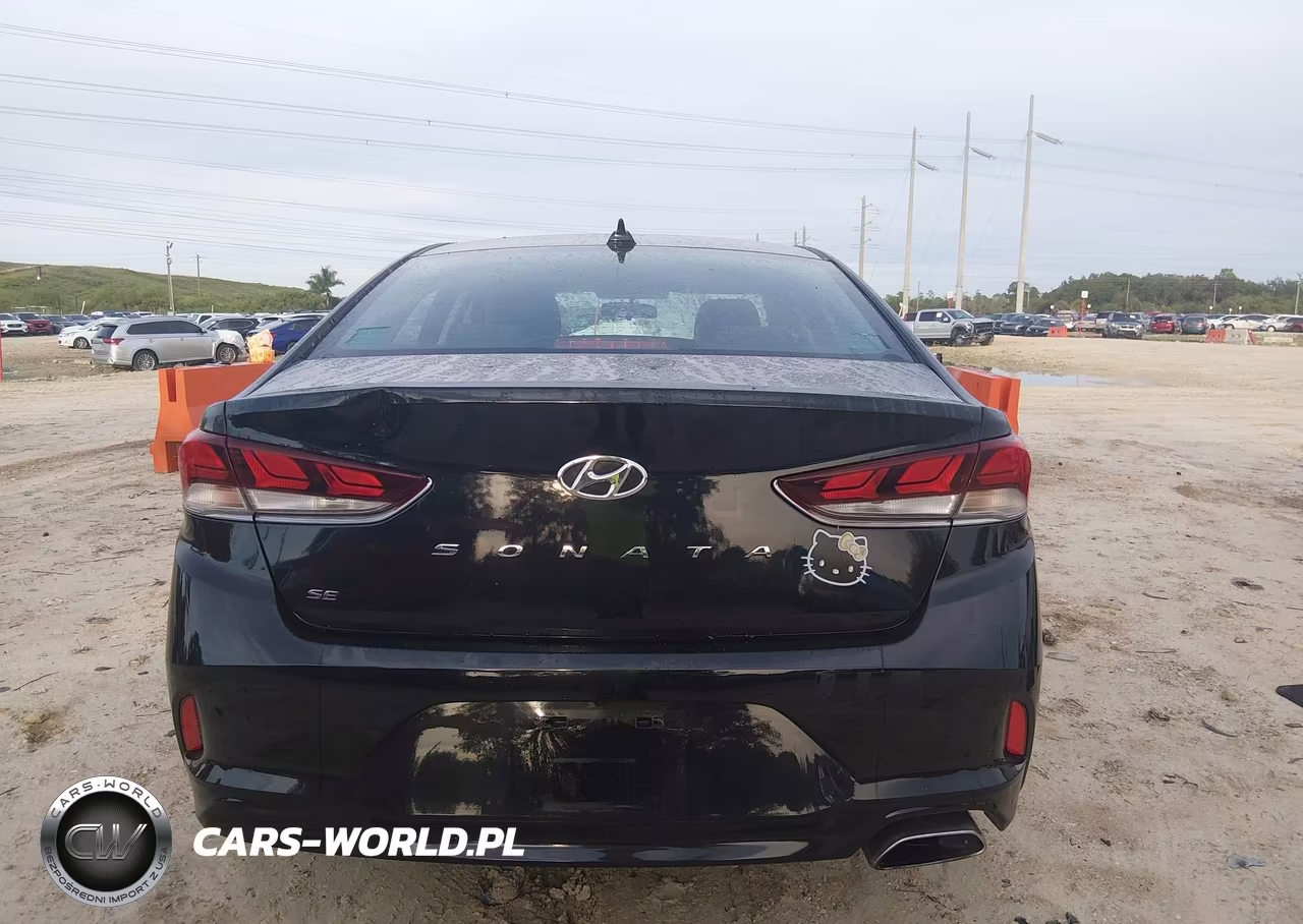 2019 Hyundai Sonata Se VIN:5NPE24AF7KH819099 - 16