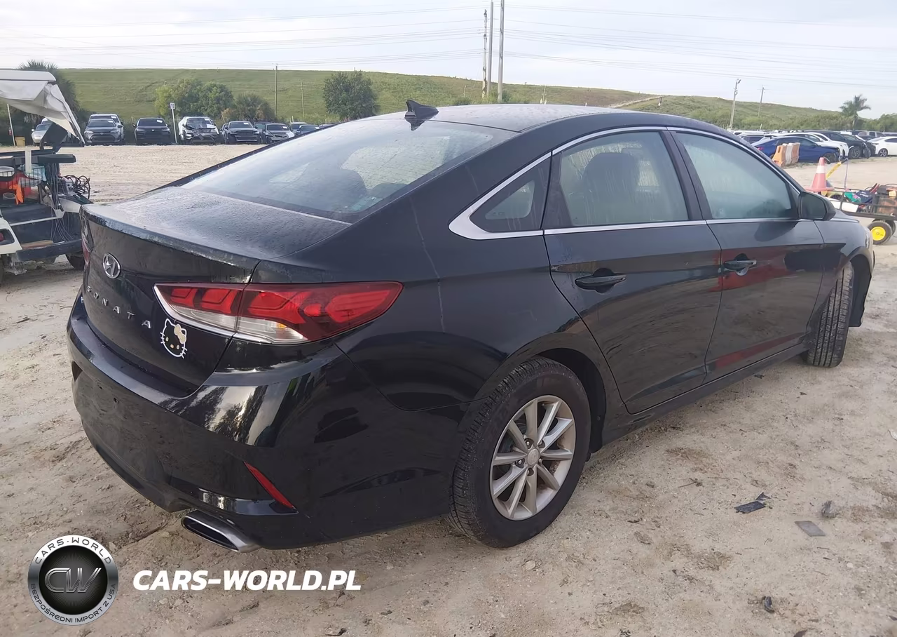 2019 Hyundai Sonata Se VIN:5NPE24AF7KH819099 - 4