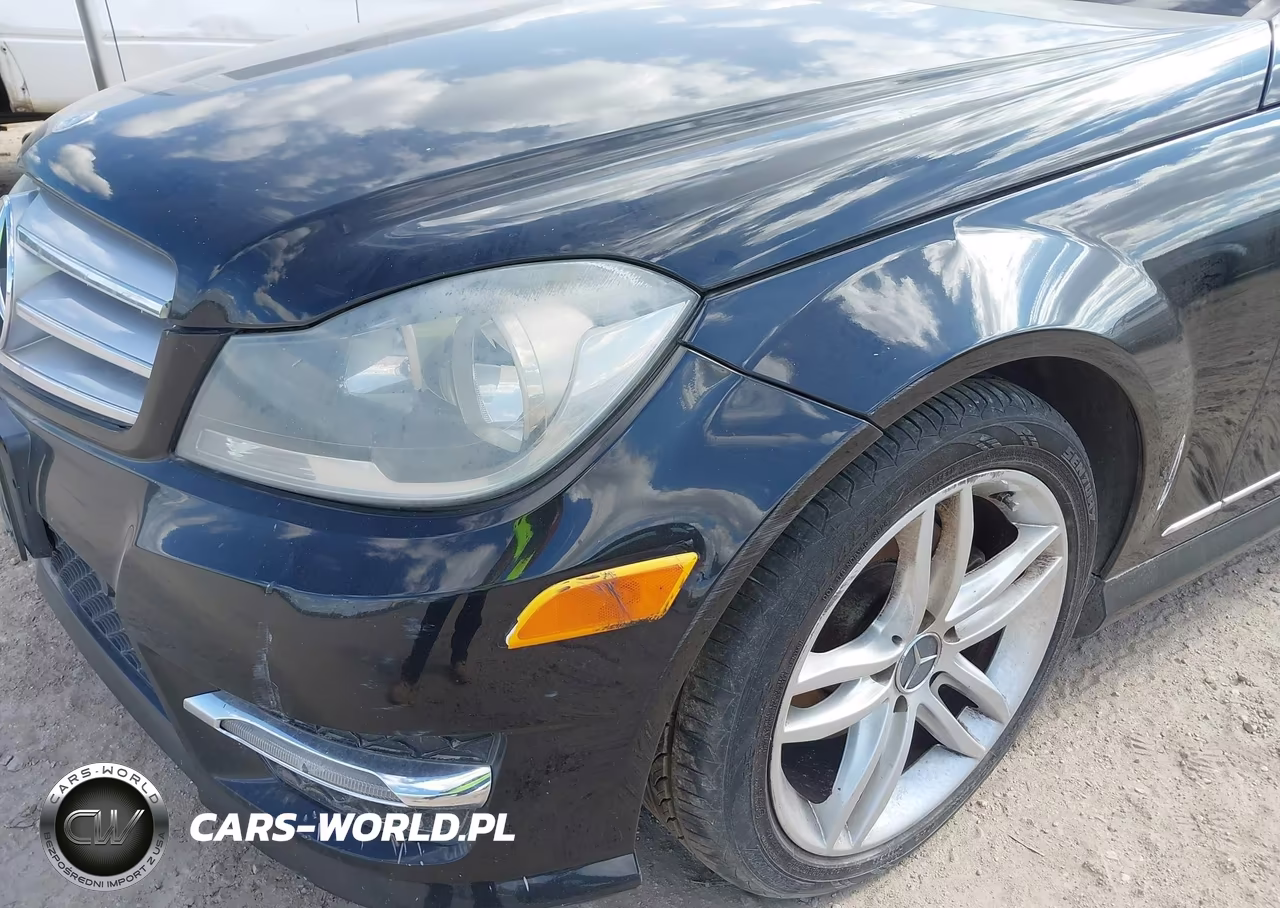 2013 Mercedes-Benz C 250 VIN:WDDGF4HB1DA862207 - 14