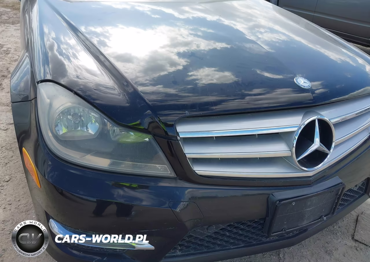 2013 Mercedes-Benz C 250 VIN:WDDGF4HB1DA862207 - 15