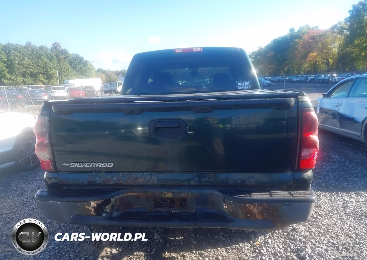 2006 Chevrolet Silverado 1500 Lt1 VIN:2GCEK13T661193764 - 17