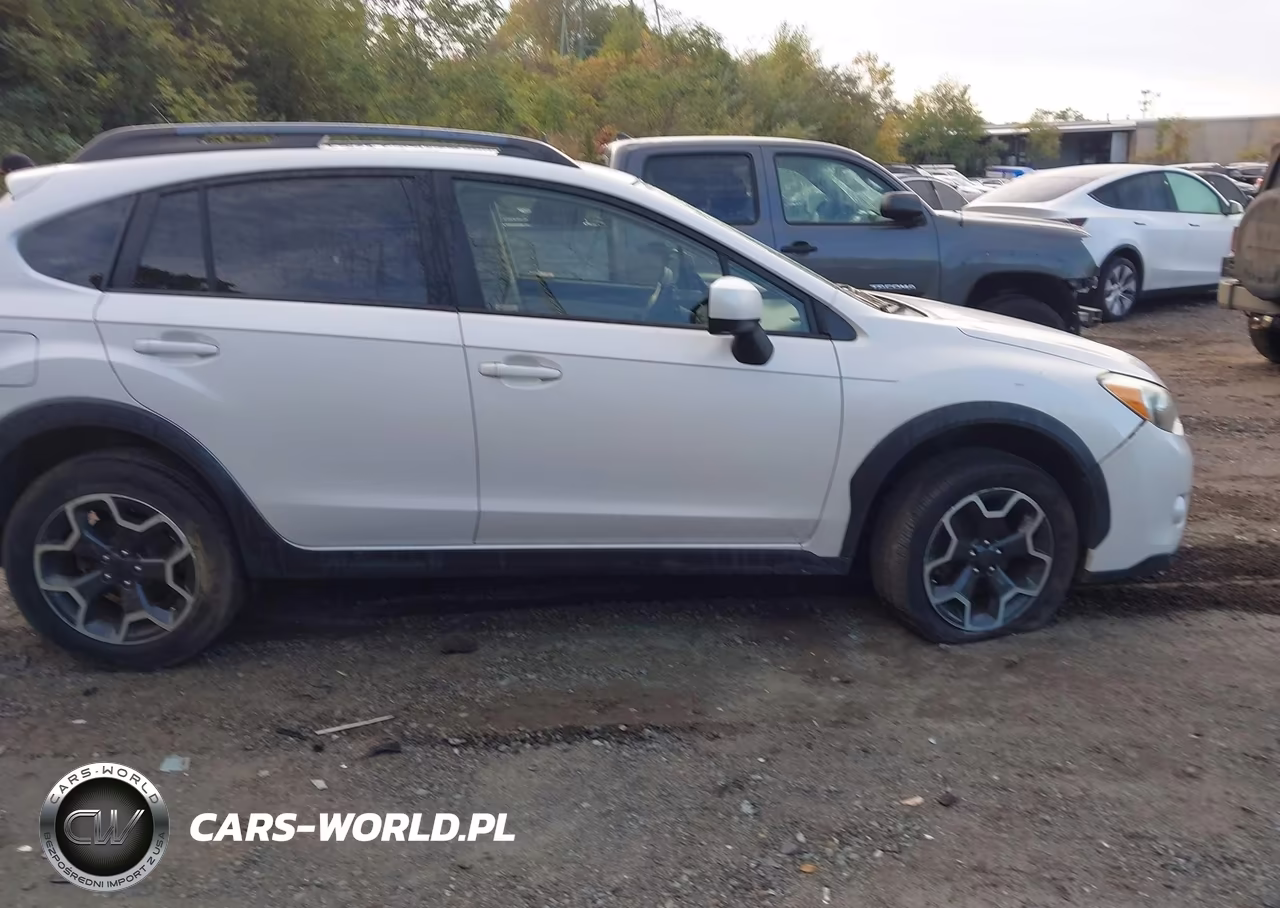 2014 Subaru Xv Crosstrek 2.0I Limited VIN:JF2GPAGC1E8210696 - 13
