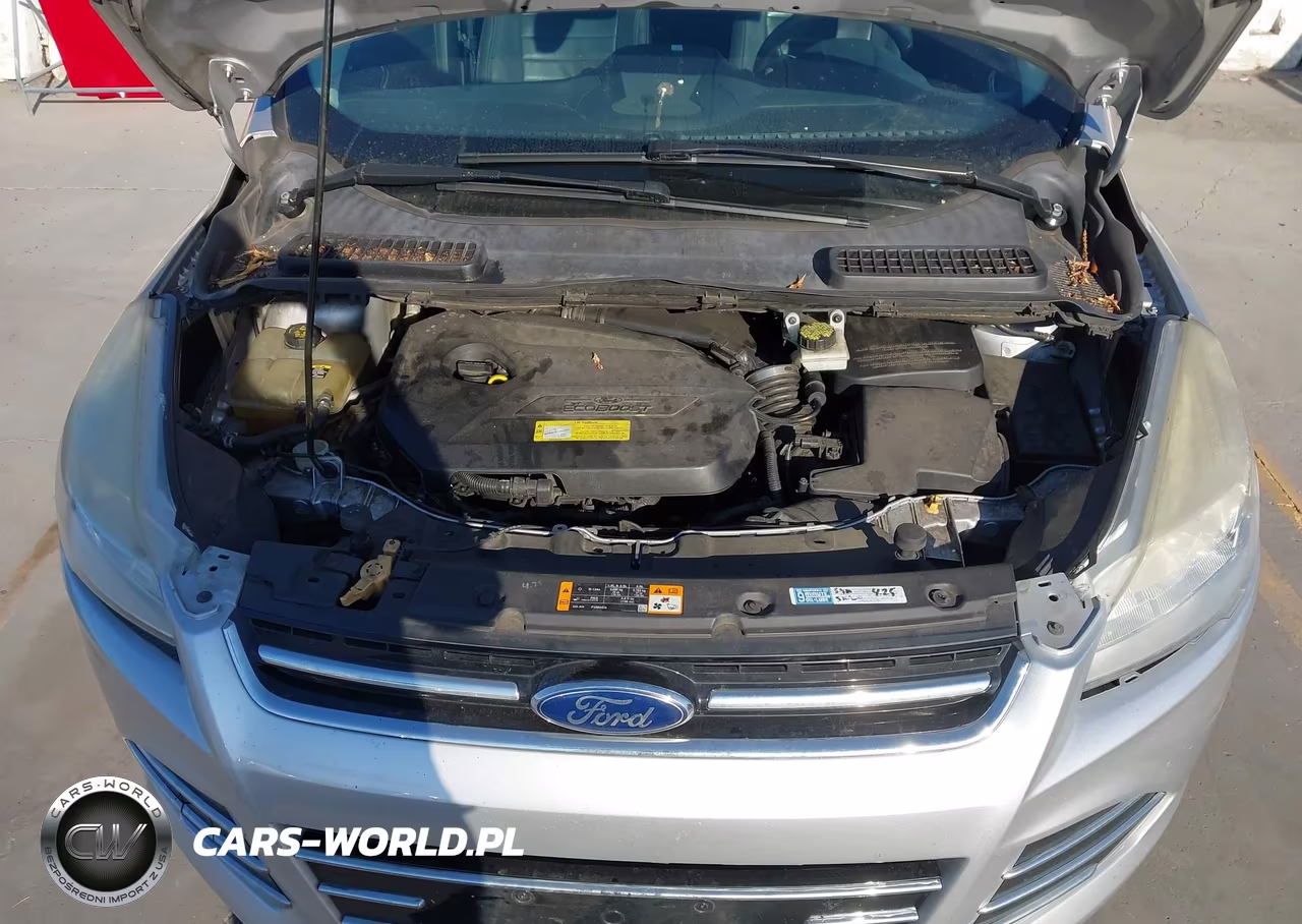 2013 Ford Escape Sel VIN:1FMCU0HX4DUB41019 - 10