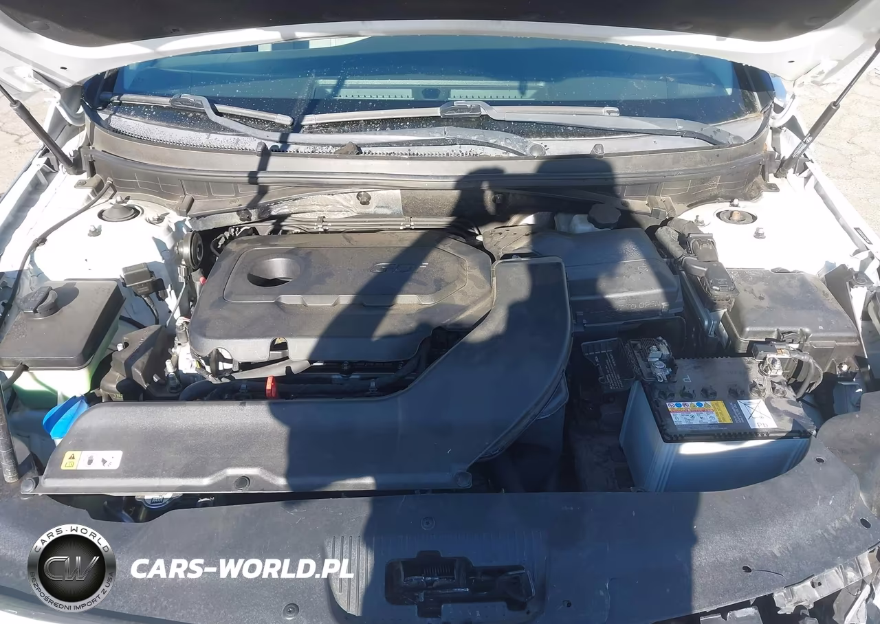 2016 Hyundai Sonata Se VIN:5NPE24AF2GH285050 - 10