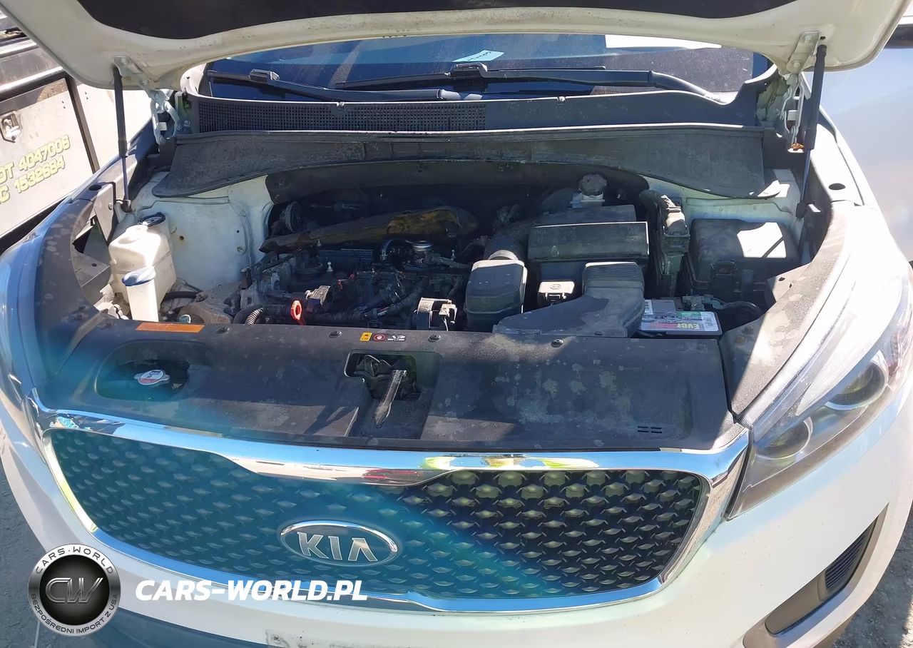 2016 Kia Sorento 2.4L Lx VIN:5XYPGDA31GG084229 - 10
