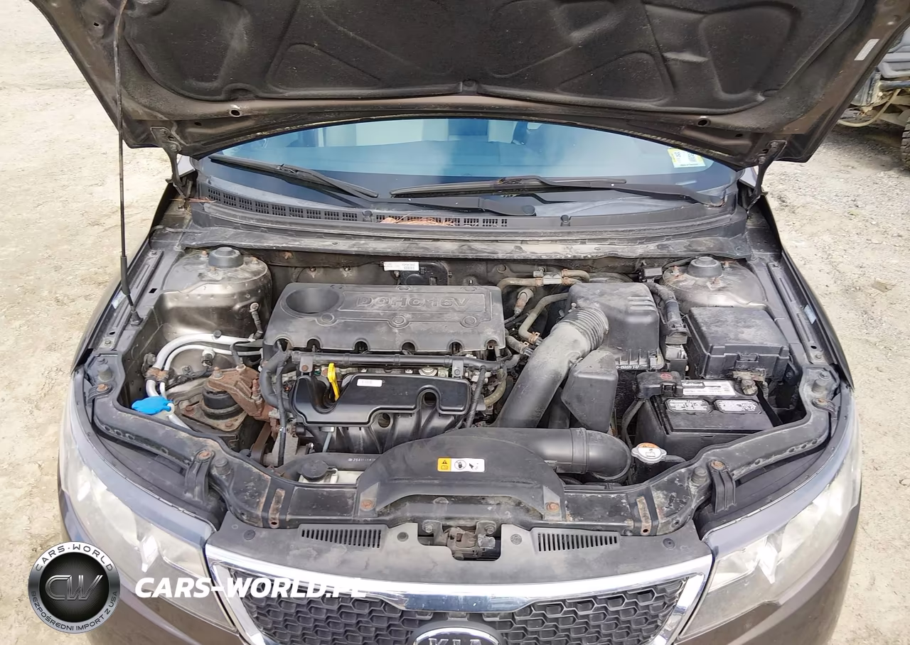 2013 Kia Forte Ex VIN:KNAFU4A28D5664106 - 10