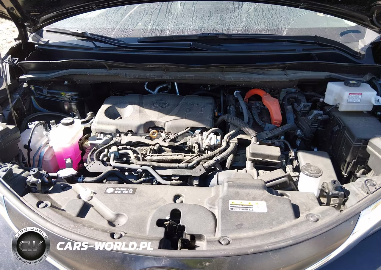 2024 Toyota Sienna Xle VIN:5TDYSKFC5RS122549 - 10