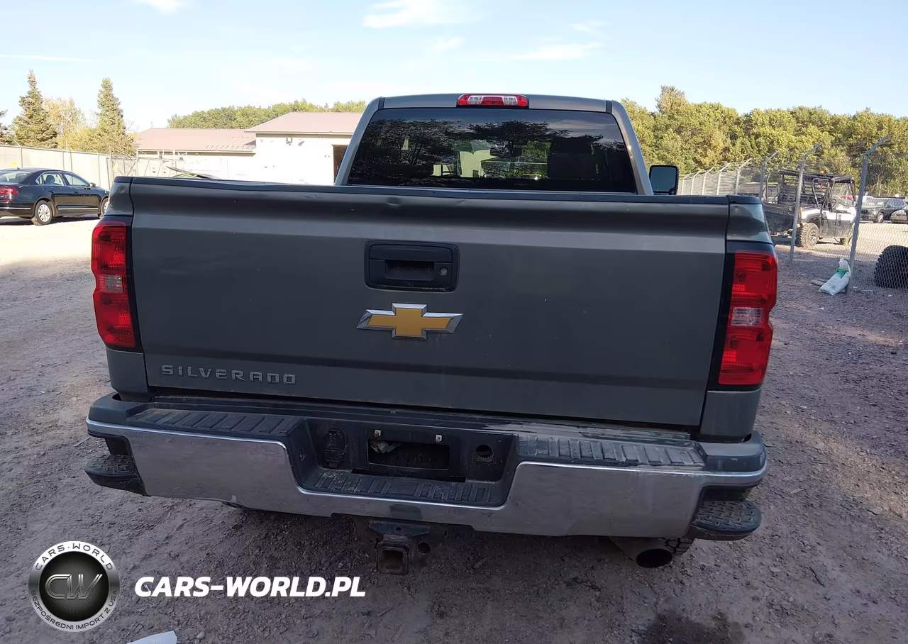 2017 Chevrolet Silverado 2500Hd Wt VIN:1GC2KUEG7HZ236099 - 16