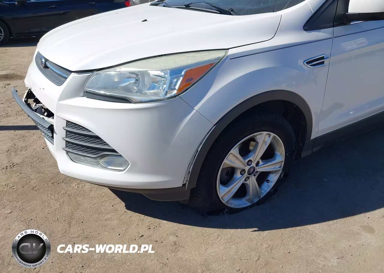 2014 Ford Escape Se VIN:1FMCU0GX4EUA03306 - 12