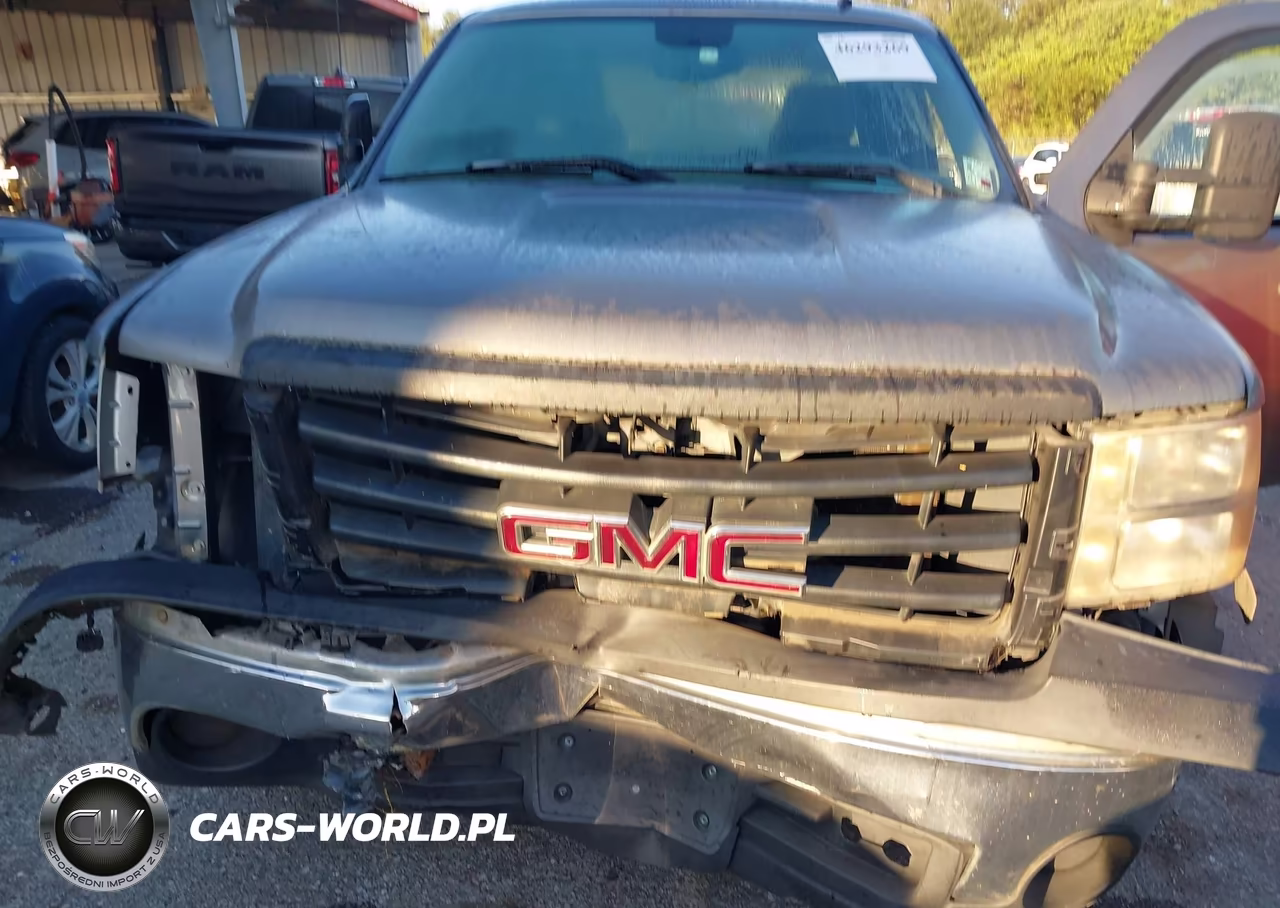 2007 GMC Sierra 1500 Work Truck VIN:1GTEC19J47E579683 - 10