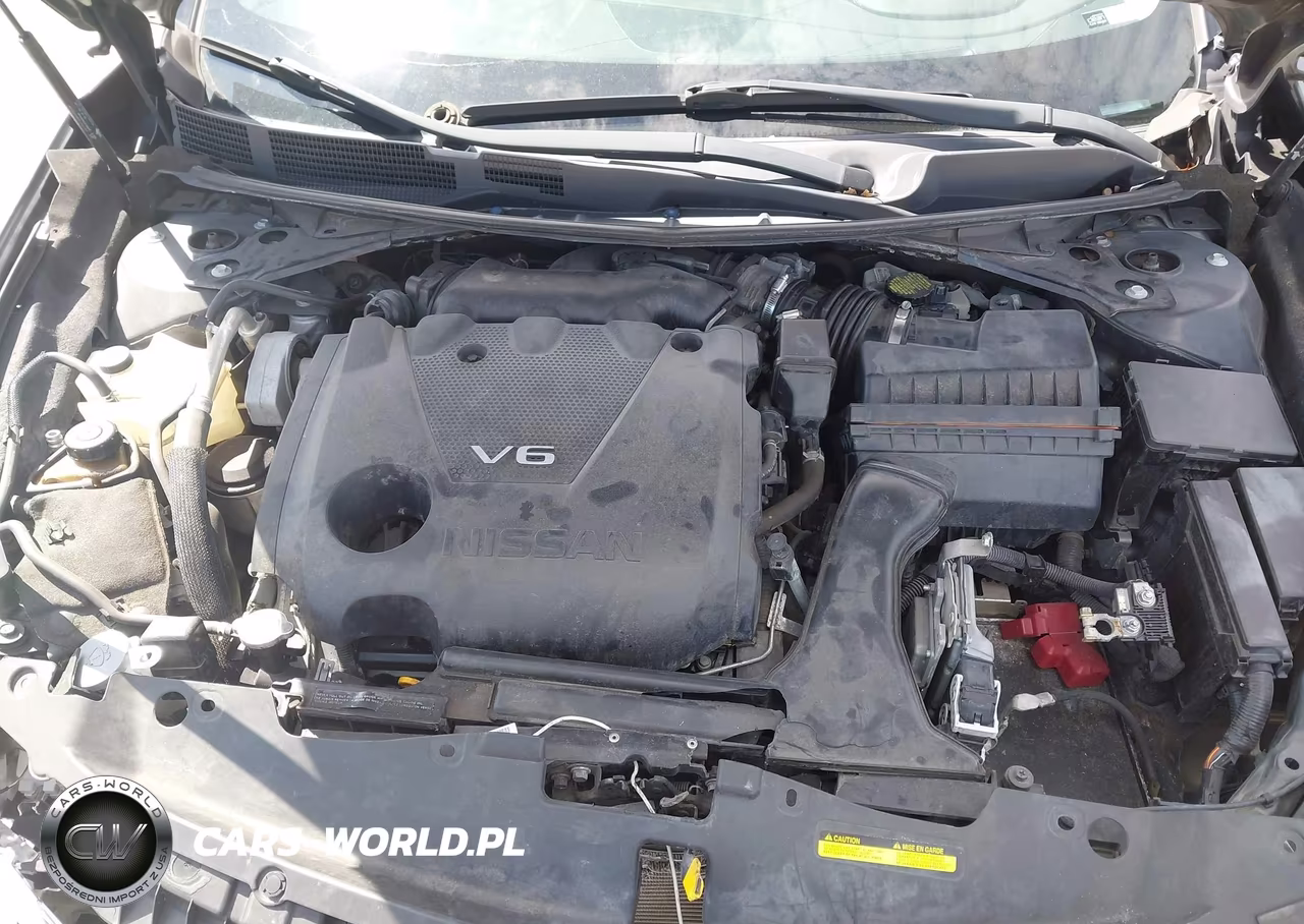 2019 Nissan Maxima 3.5 Sl VIN:1N4AA6AV0KC370953 - 10