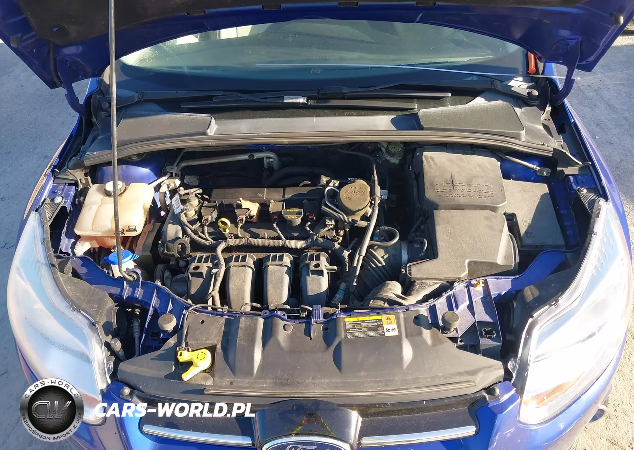 2013 Ford Focus Titanium VIN:1FADP3N24DL230398 - 10
