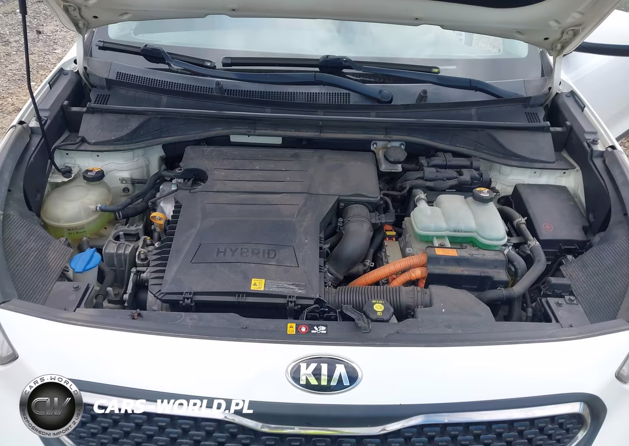 2017 Kia Niro Lx VIN:KNDCB3LC8H5064753 - 10