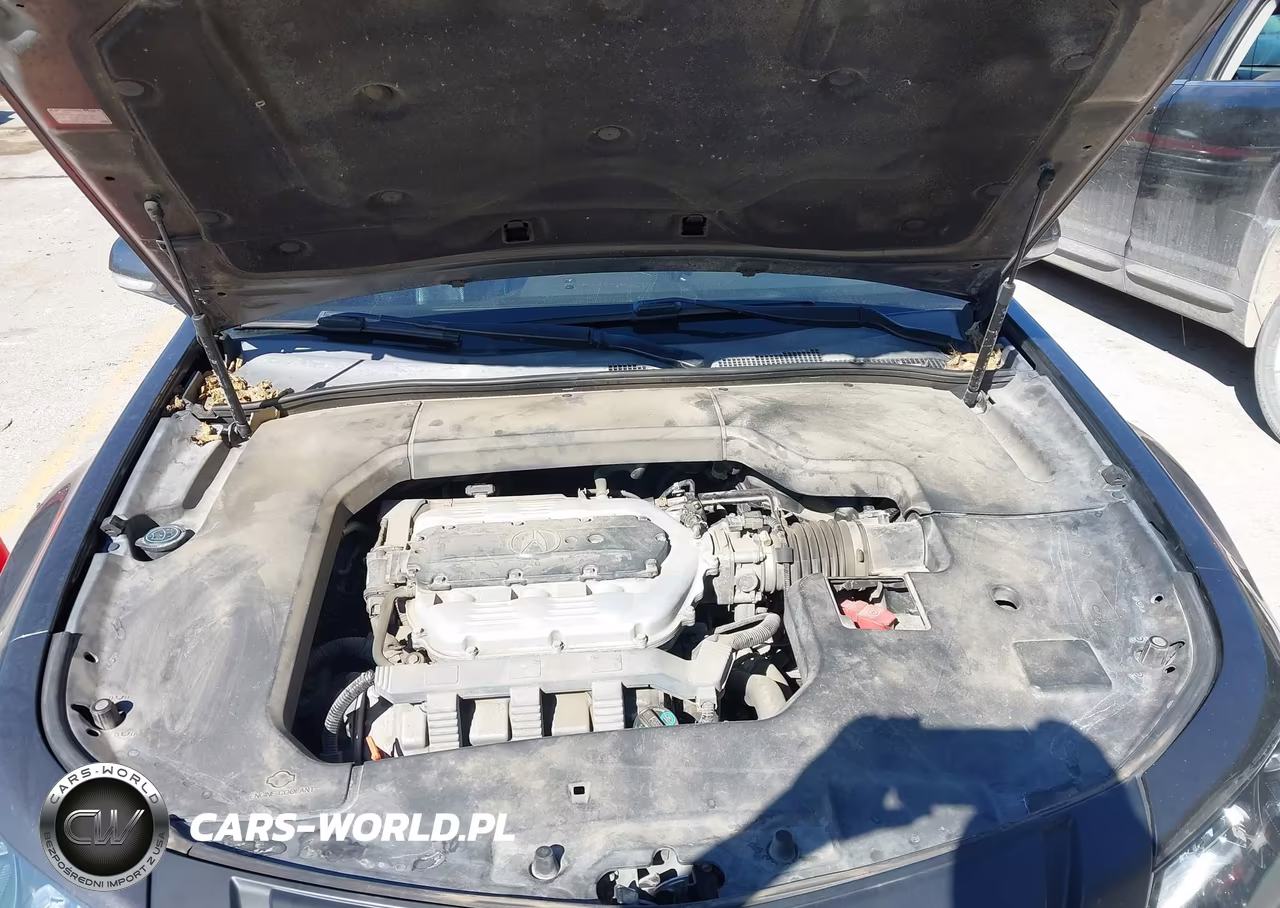 2009 Acura Tl 3.5 VIN:19UUA86579A013546 - 10