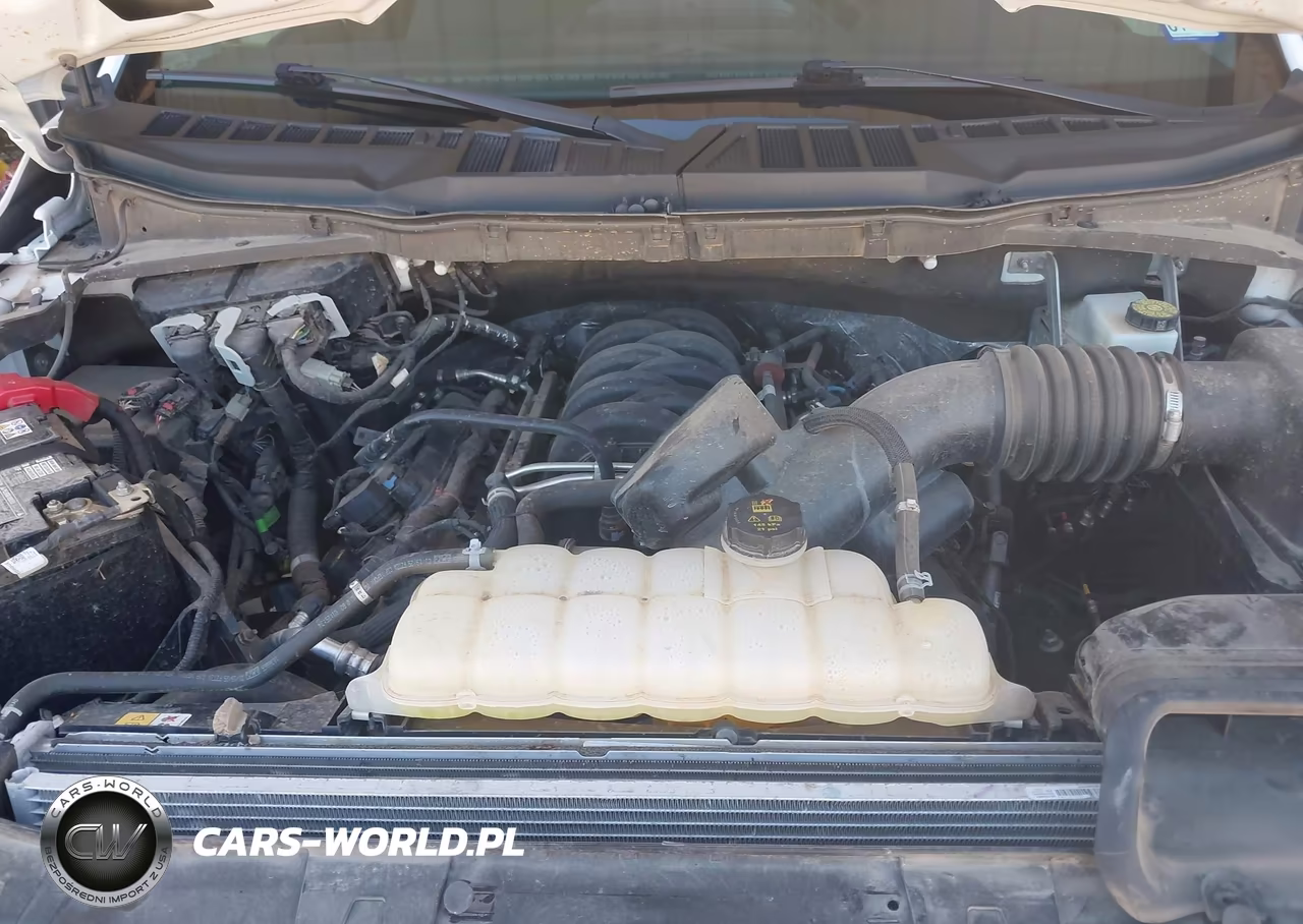 2025 Ford F-150 Xlt VIN:1FTFW3L50SKD39267 - 10