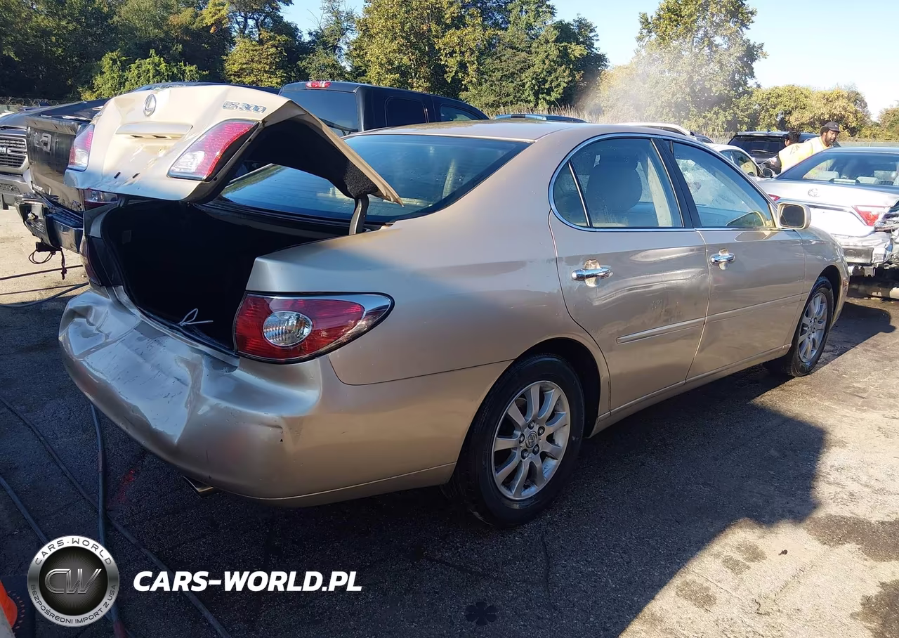 2002 Lexus Es 300 VIN:JTHBF30G325006532 - 4