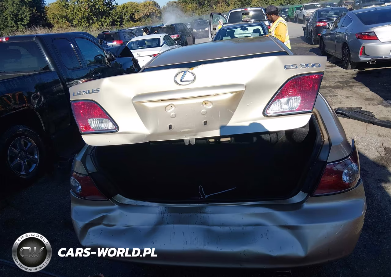 2002 Lexus Es 300 VIN:JTHBF30G325006532 - 6