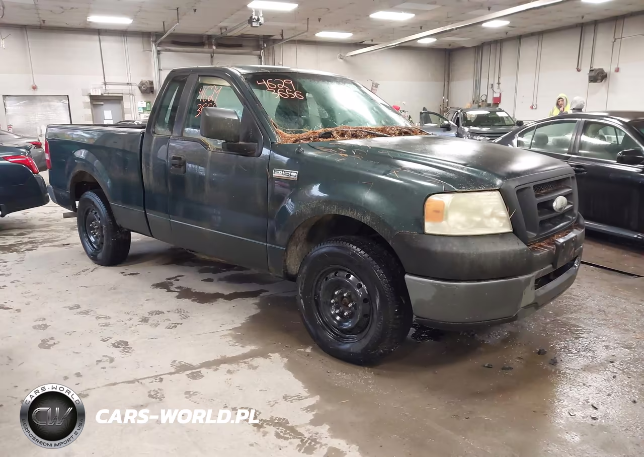 2006 Ford F150
