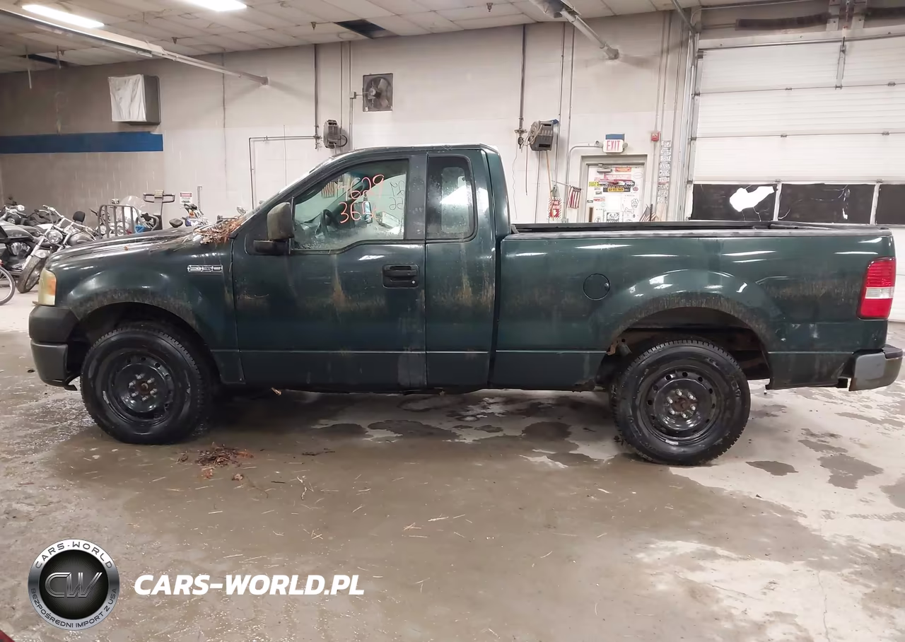 2006 Ford F150 VIN:1FTRF12236NB49976 - 12