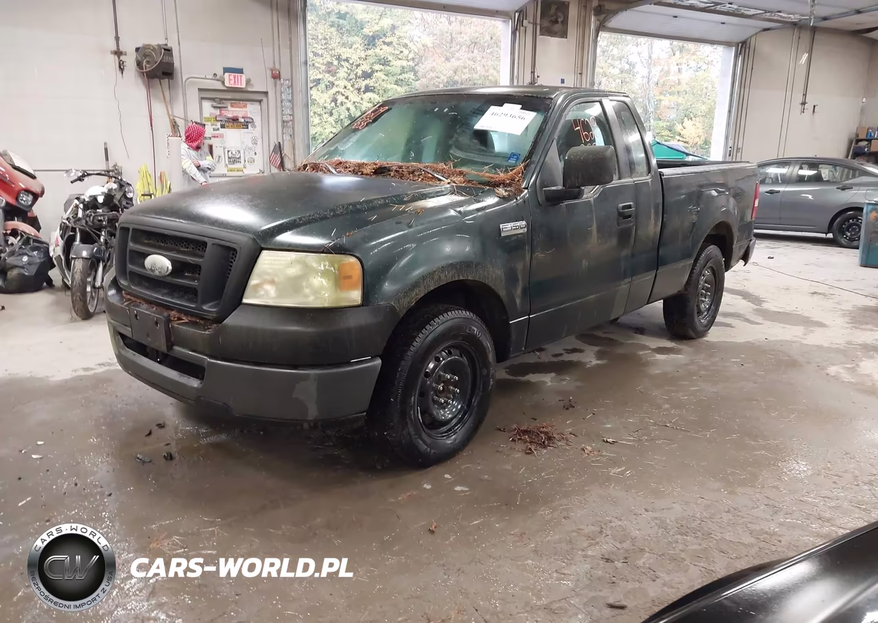 2006 Ford F150 VIN:1FTRF12236NB49976 - 2
