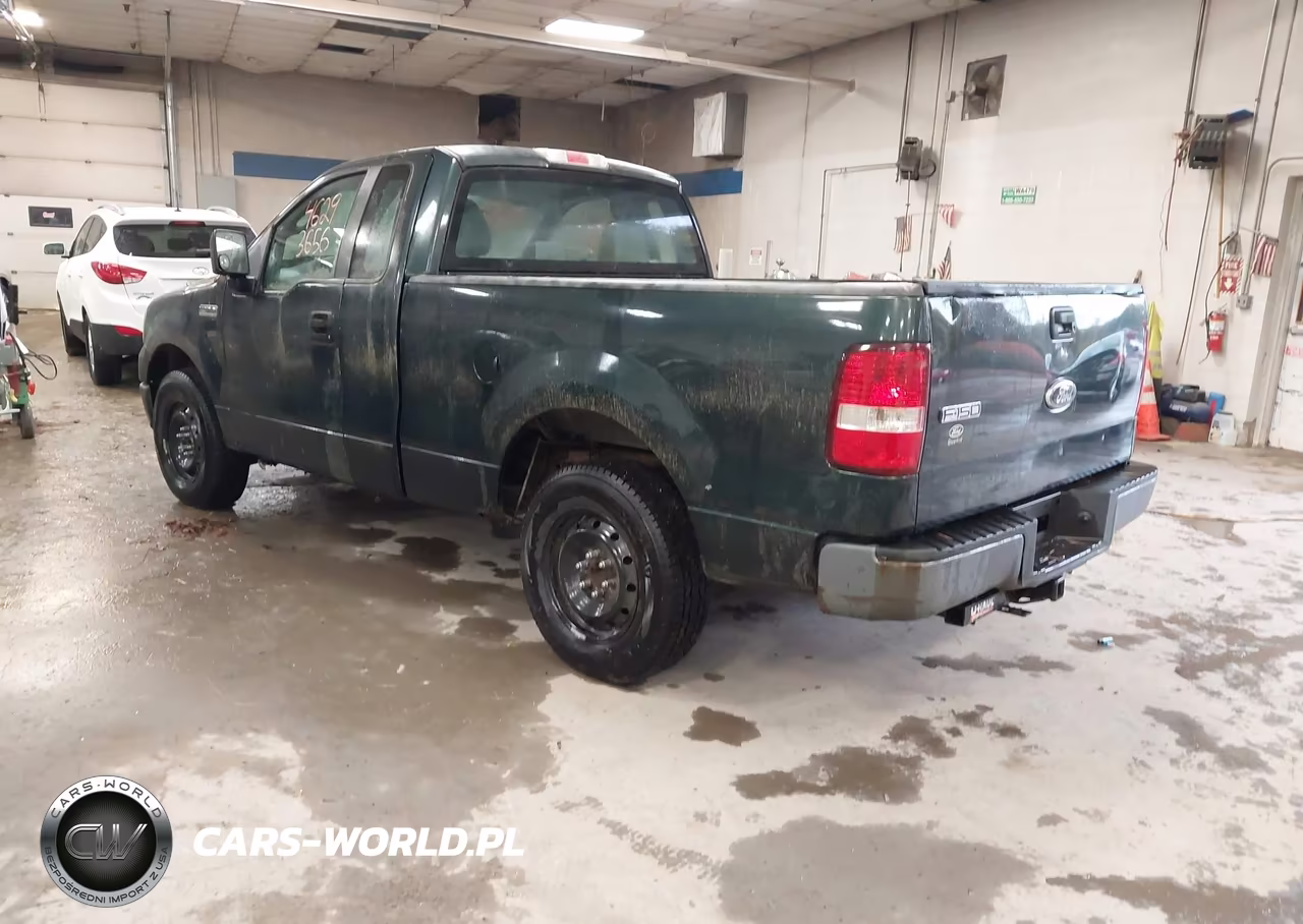 2006 Ford F150 VIN:1FTRF12236NB49976 - 3