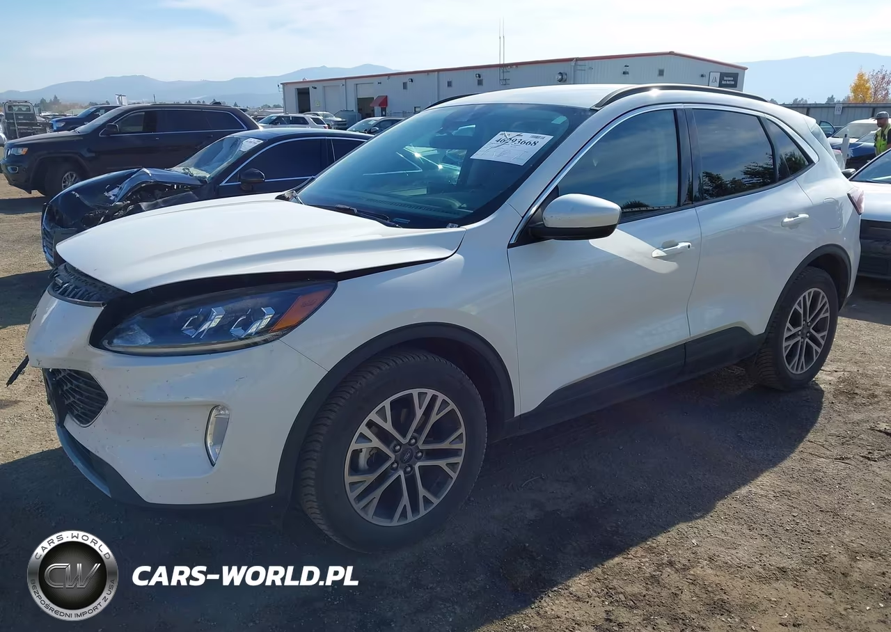 2020 Ford Escape Sel VIN:1FMCU9H68LUA36767 - 2
