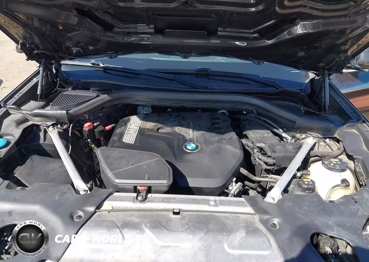 2019 BMW X3 Sdrive30I VIN:5UXTR7C54KLF36343 - 10