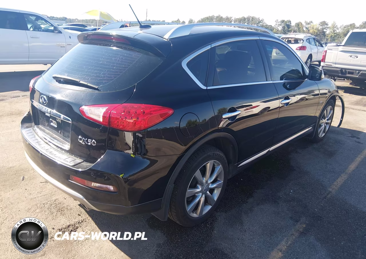 2016 Infiniti Qx50 VIN:JN1BJ0RR8GM264337 - 4