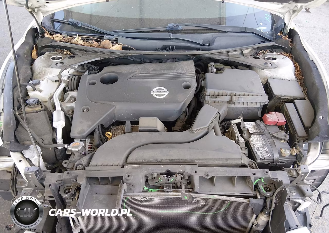 2015 Nissan Altima 2.5 Sl VIN:1N4AL3AP6FC253166 - 10
