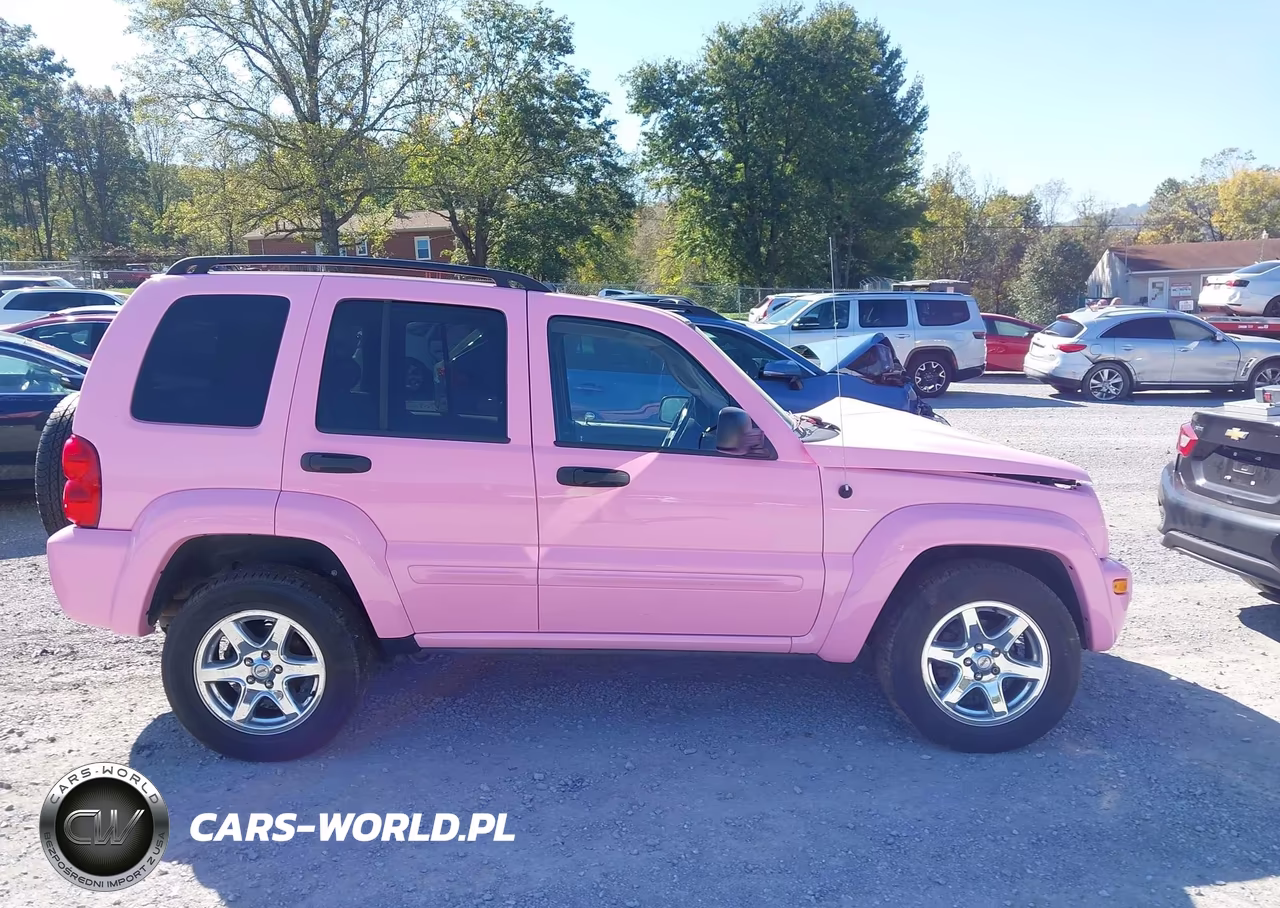 2003 Jeep Liberty Limited Edition VIN:1J4GL58K93W677066 - 14