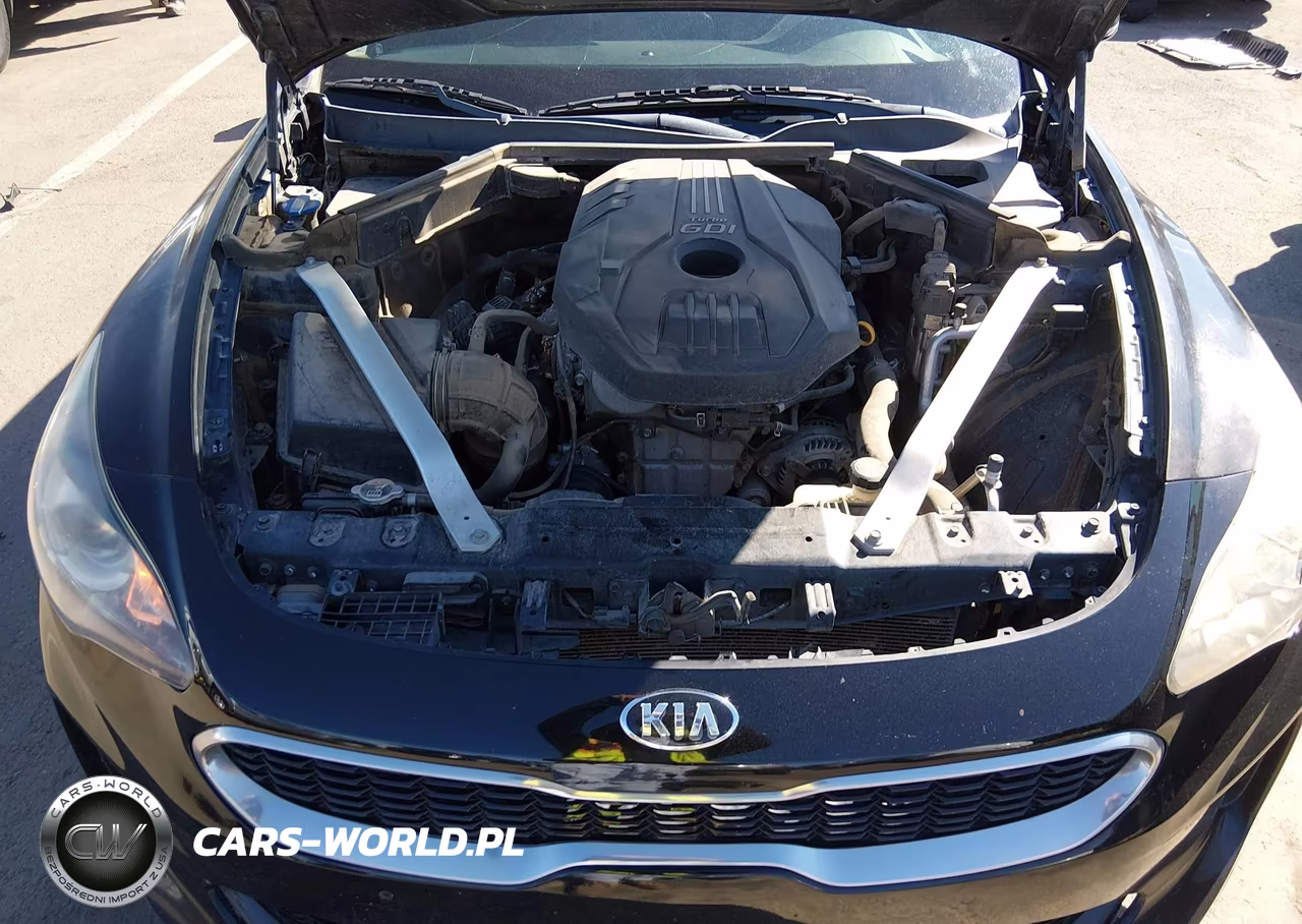 2018 Kia Stinger VIN:KNAE15LA6J6034136 - 10
