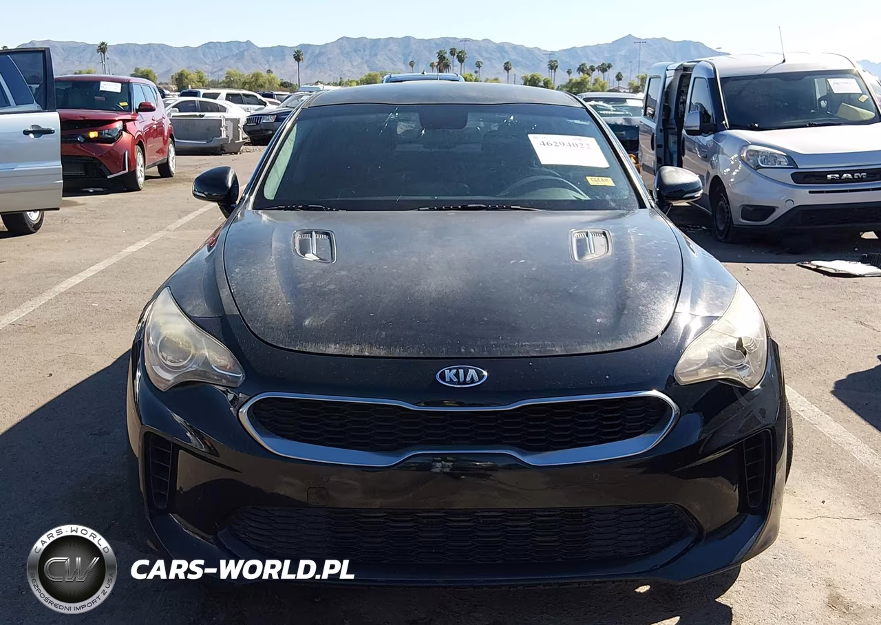 2018 Kia Stinger VIN:KNAE15LA6J6034136 - 12