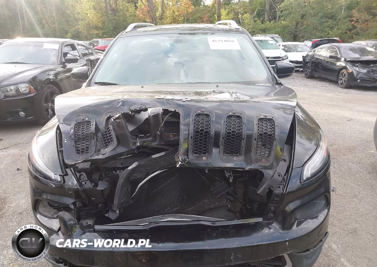 2015 Jeep Cherokee Limited VIN:1C4PJMDS8FW641031 - 12