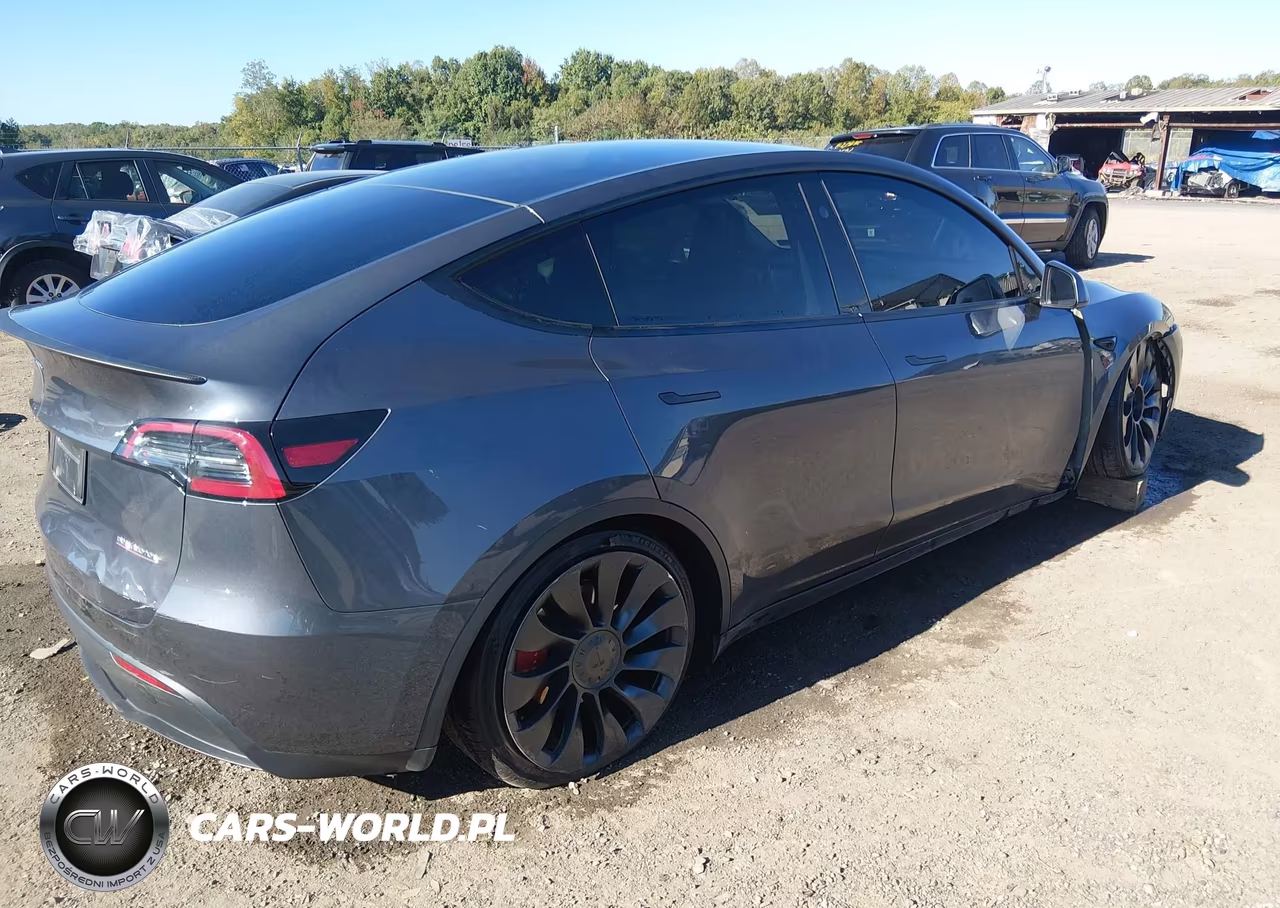 2023 Tesla Model Y Performance Dual Motor All-Wheel Drive VIN:7SAYGDEF0PF962252 - 4