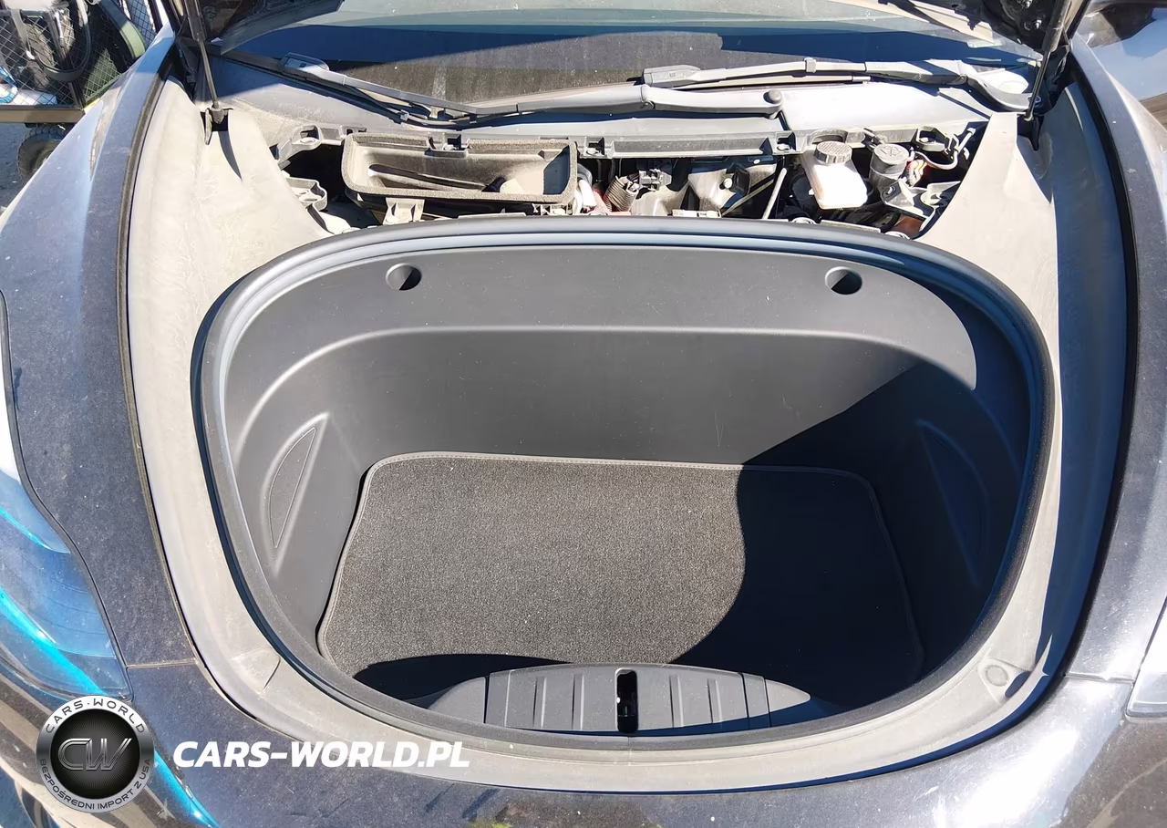 2022 Tesla Model 3 Rear-Wheel Drive VIN:5YJ3E1EA4NF190111 - 10