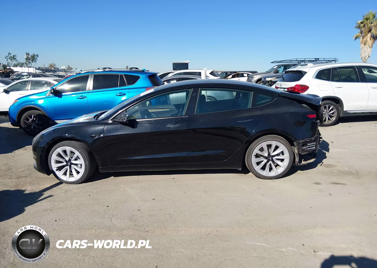 2022 Tesla Model 3 Rear-Wheel Drive VIN:5YJ3E1EA4NF190111 - 15