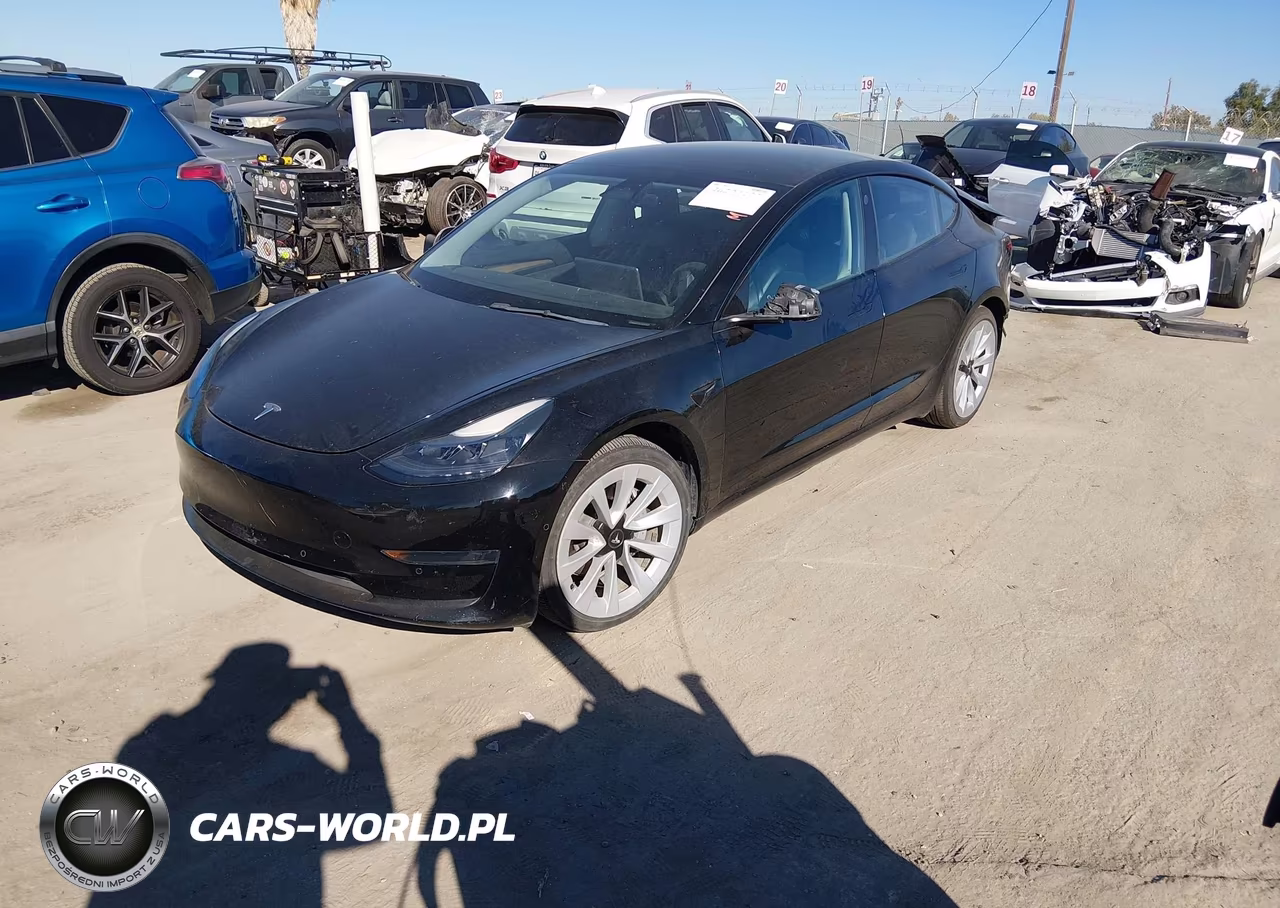 2022 Tesla Model 3 Rear-Wheel Drive VIN:5YJ3E1EA4NF190111 - 2