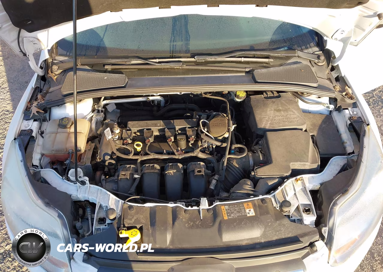 2014 Ford Focus Se VIN:1FADP3F26EL449721 - 10