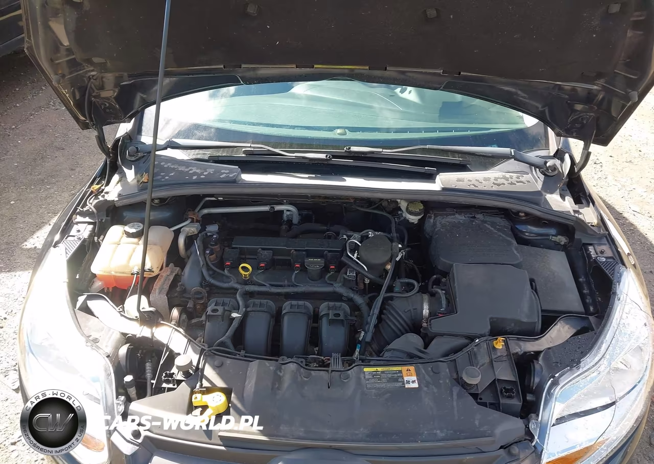 2013 Ford Focus Se VIN:1FADP3K26DL229659 - 10
