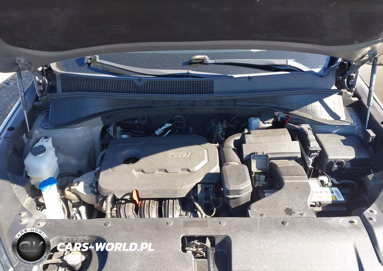 2017 Kia Sorento 2.4L Lx VIN:5XYPGDA35HG204034 - 10
