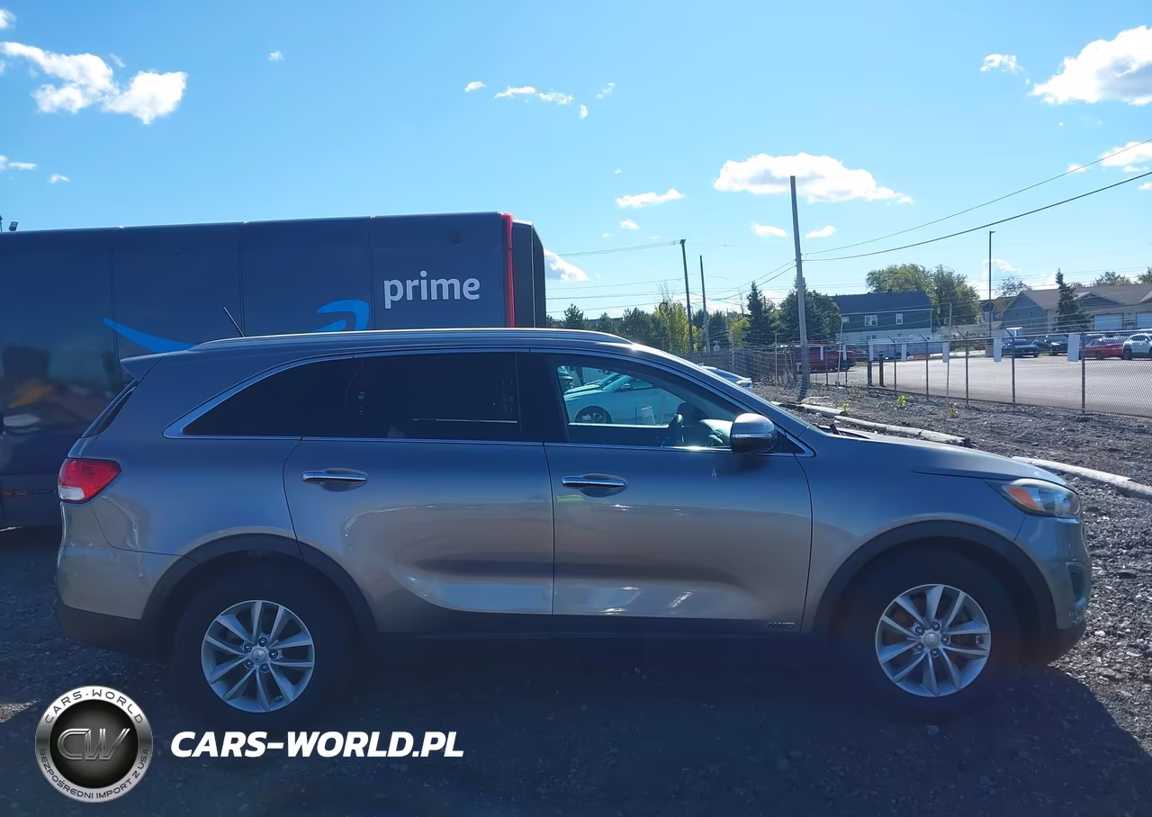 2017 Kia Sorento 2.4L Lx VIN:5XYPGDA35HG204034 - 13