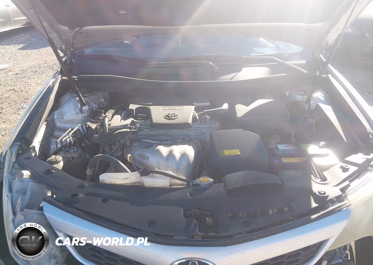 2014 Toyota Camry Se VIN:4T1BF1FK3EU404654 - 10