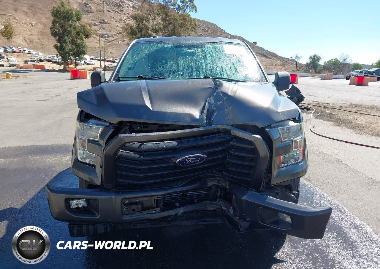 2017 Ford F-150 Xlt VIN:1FTEX1CP9HKC63796 - 12