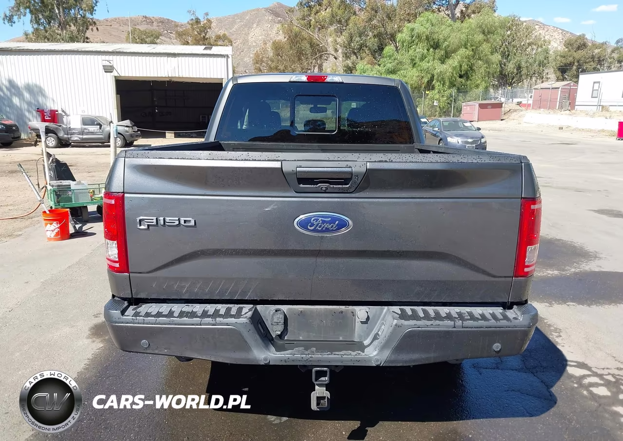 2017 Ford F-150 Xlt VIN:1FTEX1CP9HKC63796 - 16