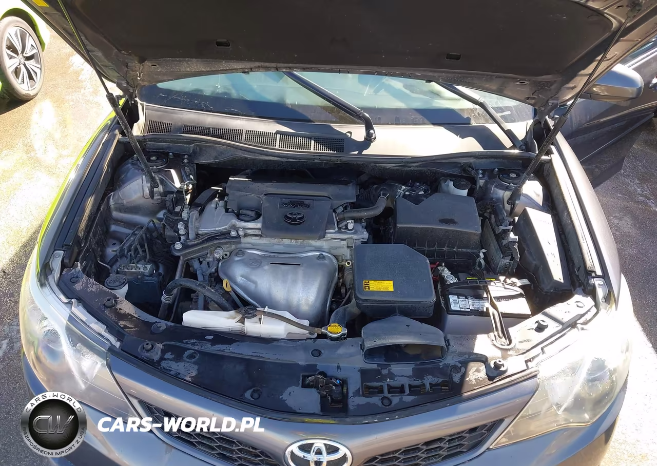 2014 Toyota Camry Se VIN:4T1BF1FK9EU793879 - 10