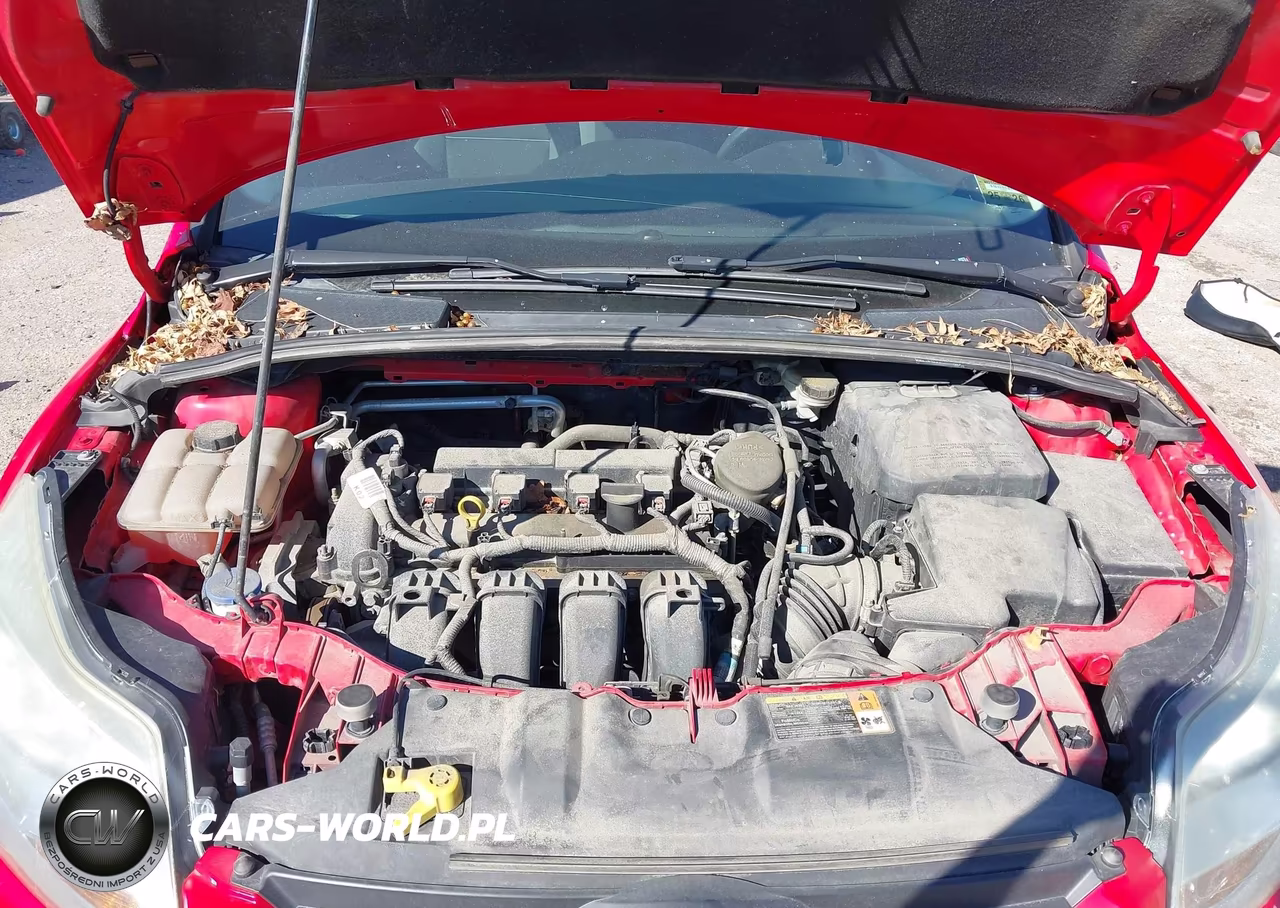 2014 Ford Focus Se VIN:1FADP3F29EL178539 - 10