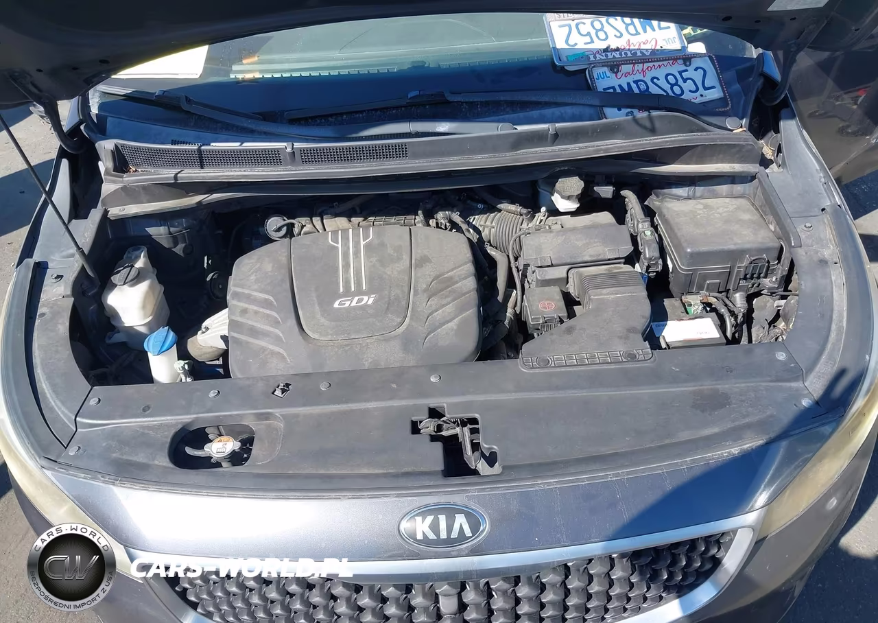 2016 Kia Sedona Sx VIN:KNDMC5C12G6103955 - 10