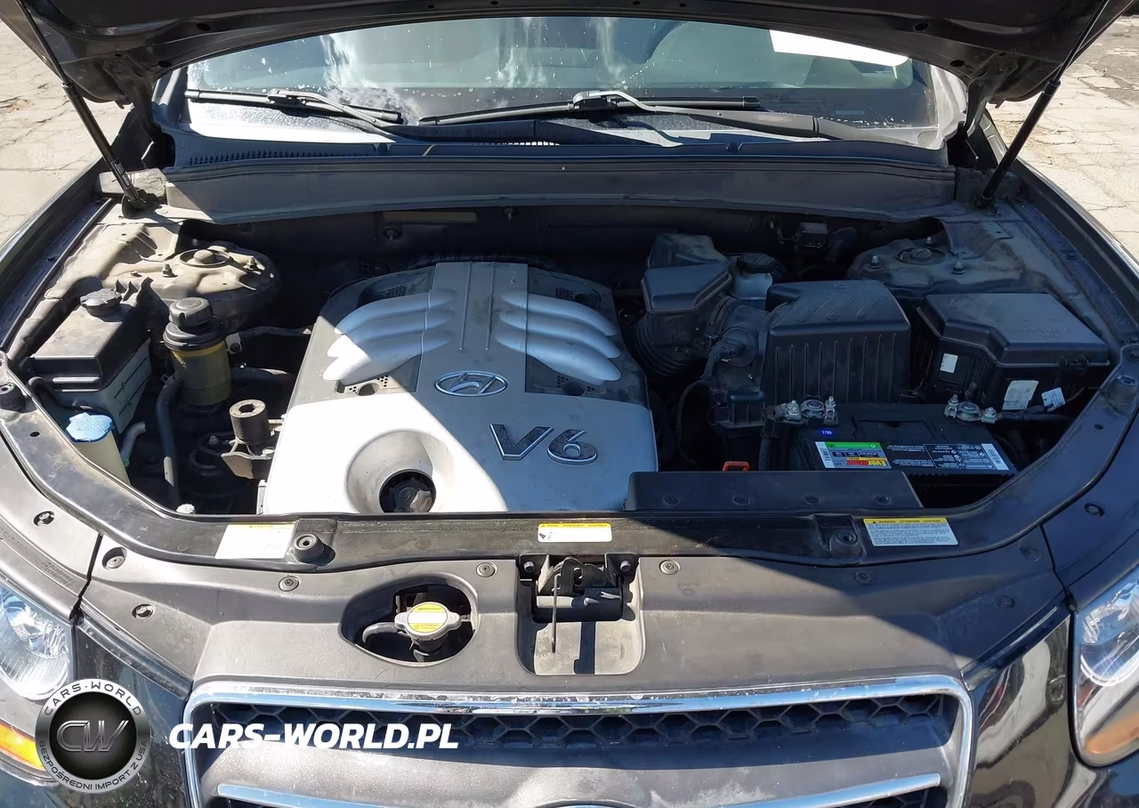 2007 Hyundai Santa Fe Limited-Se VIN:5NMSH13E57H040809 - 10