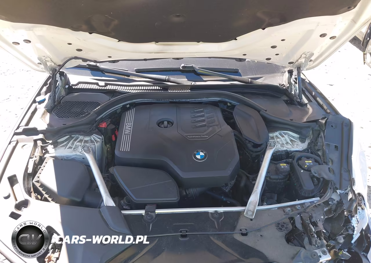 2020 BMW 530I xDrive VIN:WBAJR7C00LWW61735 - 10