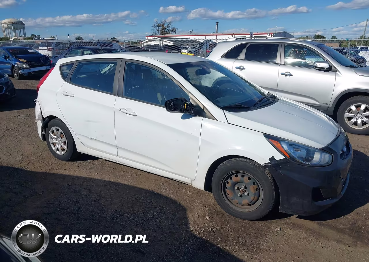 2014 Hyundai Accent Gs VIN:KMHCT5AE5EU193804 - 1